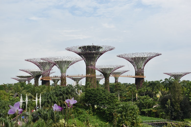 2. Serene Spots - Gardens by the Bay, Singapore