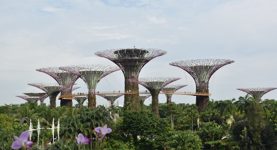 2. Serene Spots - Gardens by the Bay, Singapore