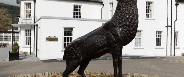 Dunkeld House Hotel Feature Stag