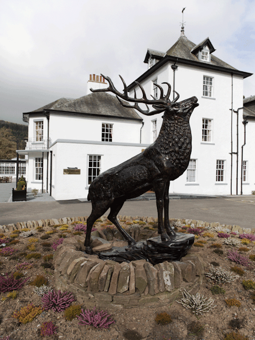 Dunkeld House Hotel Feature Stag