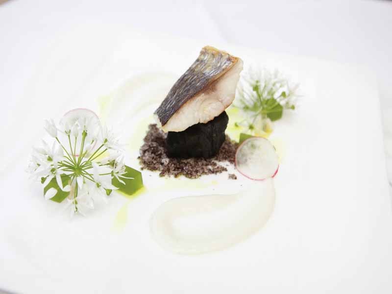 Best Western Lamphey Court Hotel and Spa Fish Main