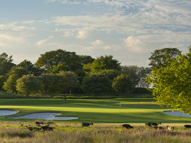 Forest of Arden Club Golf