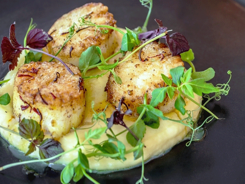 Rise Fitness and Wellbeing at Hilton Bournemouth Scallop Dish