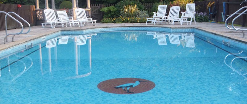 Macdonald Resort Plas Talgarth Outdoor Pool