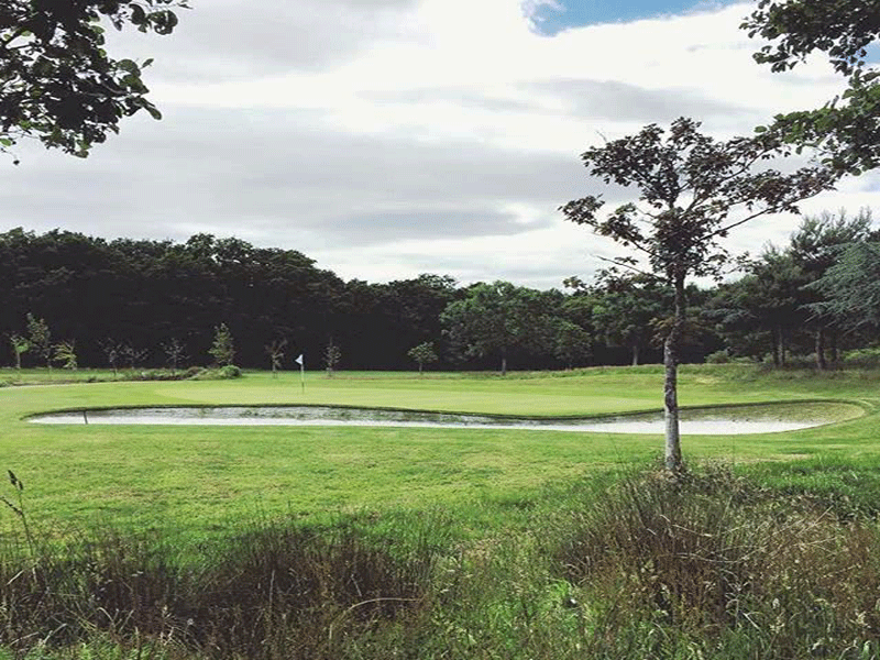 Skylark Golf & Country Club Golf Bunker