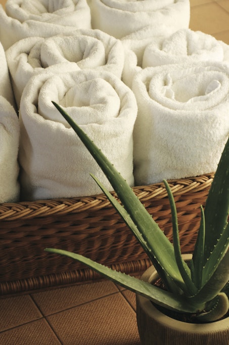 	Stapleford Park Towels and Cactus