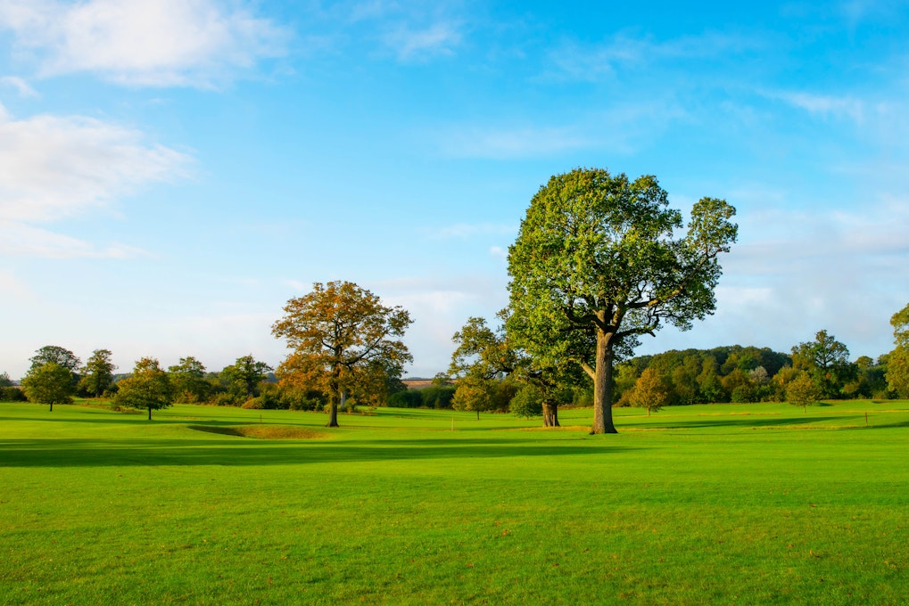 	Whittlebury Hall Hotel Spa Golf Course